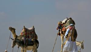 Арабские путешественники Описание путешествий известных древних арабов