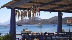 Остров нисирос в греции Нисирос остров путешествуем по греции